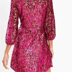 Velvet  Champagne sparkle dress